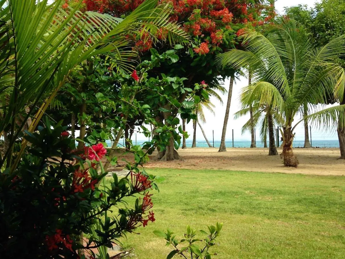 Appartement Moderne Avec Vue Sur La Mer Au Moule 38 M² Terrasse Le Moule Guadeloupe